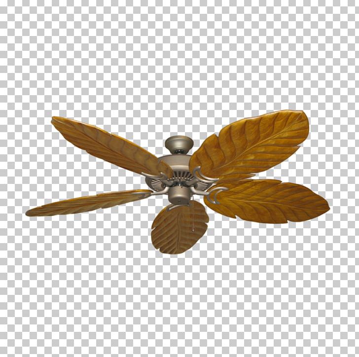 Ceiling Fans Electric Motor House PNG, Clipart, Blade, Bronze, Business, Ceiling, Ceiling Fan Free PNG Download