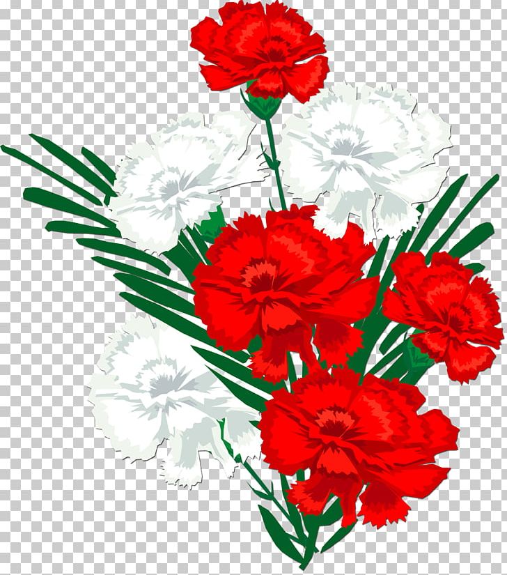 Information Holiday Photography PNG, Clipart, Annual Plant, Artwork, Carnation, Chrysanths, Cut Flowers Free PNG Download