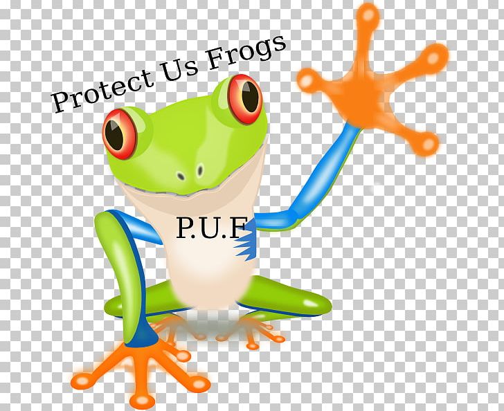 Red-eyed Tree Frog Amphibian Hylidae PNG, Clipart, American Green Tree Frog, Amphibian, Animal, Animal Figure, Animals Free PNG Download