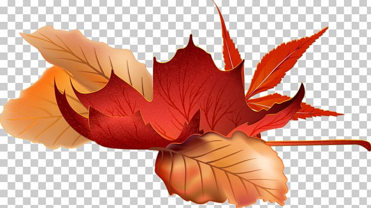 Autumn Season Graphics Design PNG, Clipart, Autumn, Autumn Leaf Color, Centerblog, Desktop Wallpaper, Drawing Free PNG Download