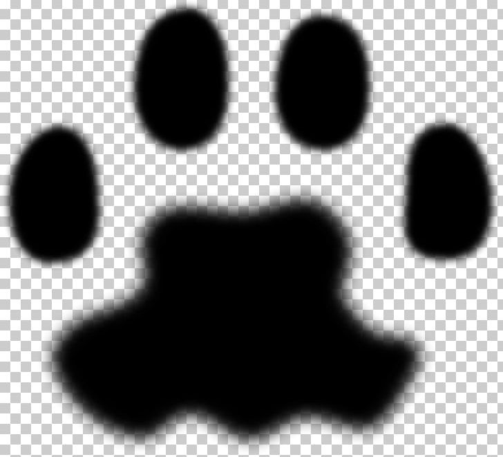 Dog Cat Paw PNG, Clipart, Animals, Animal Track, Black, Black And White, Cat Free PNG Download