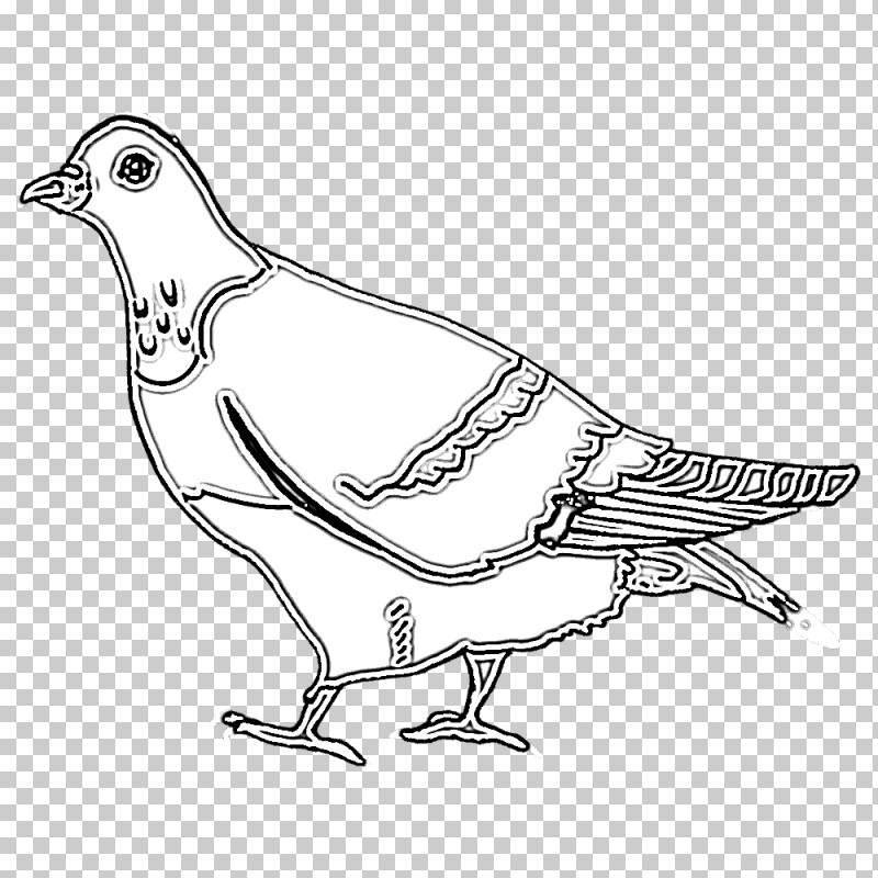 Feather PNG, Clipart, Animal Figurine, Beak, Birds, Cartoon, Chicken Free PNG Download