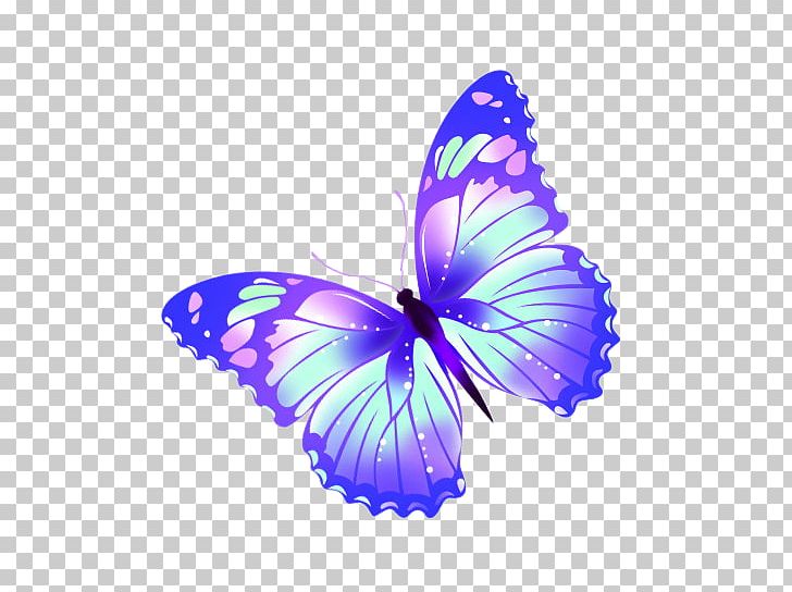 Butterfly PNG, Clipart, 3d Computer Graphics, Brush Footed Butterfly, Butterflies, Butterfly Group, Cartoon Free PNG Download