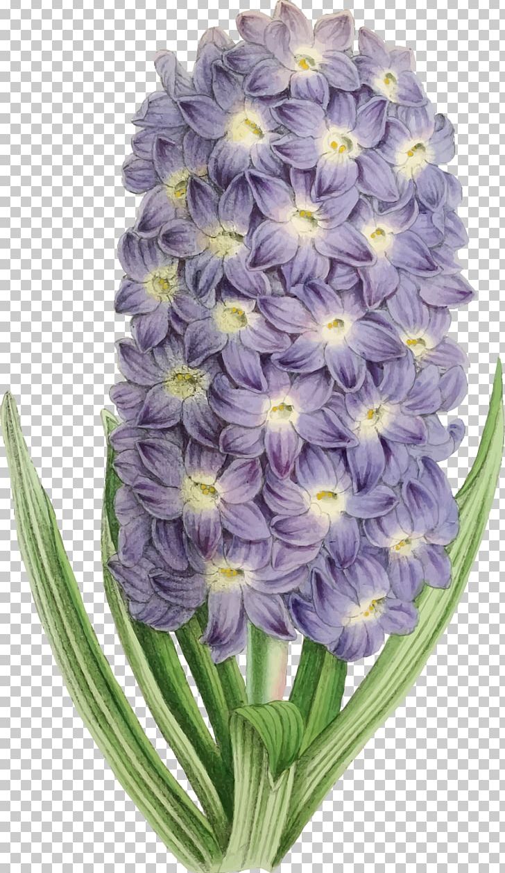 Flower Purple Violet PNG, Clipart, Color, Cut Flowers, Desktop Wallpaper, Floral Design, Flower Free PNG Download