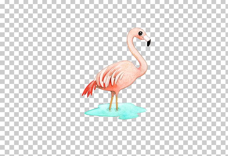 Greater Flamingo Bird Paper Illustration PNG, Clipart, Animals, Beak, Birds, Craft, Drawing Free PNG Download
