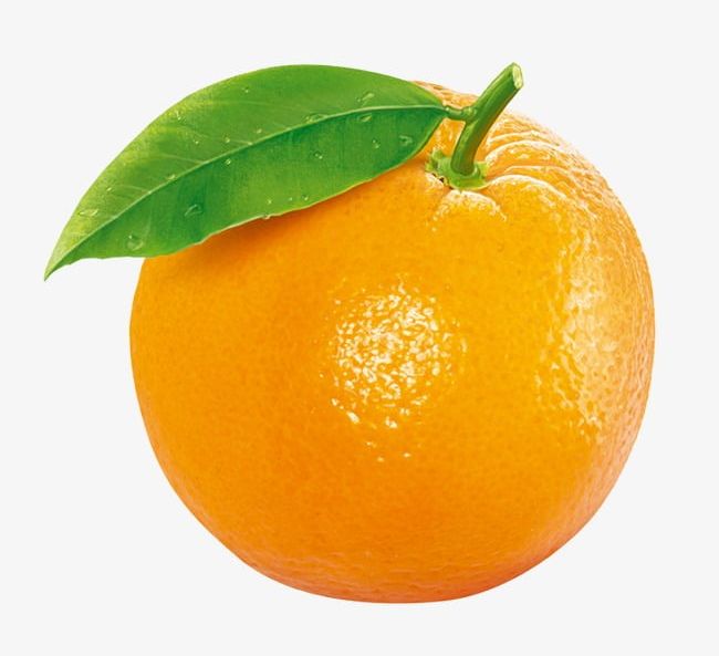 Orange Fruit PNG, Clipart, Fruit, Fruit Clipart, Orange, Orange Clipart Free PNG Download