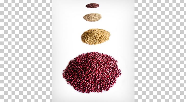 Product Superfood PNG, Clipart, Others, Superfood Free PNG Download