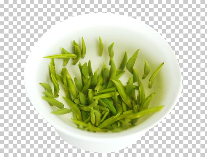 Xinyang Maojian Tea Green Tea Flowering Tea Sejak PNG, Clipart, Alpine, Alpine Green Tea, Antioxidant, Biluochun, Cam Free PNG Download