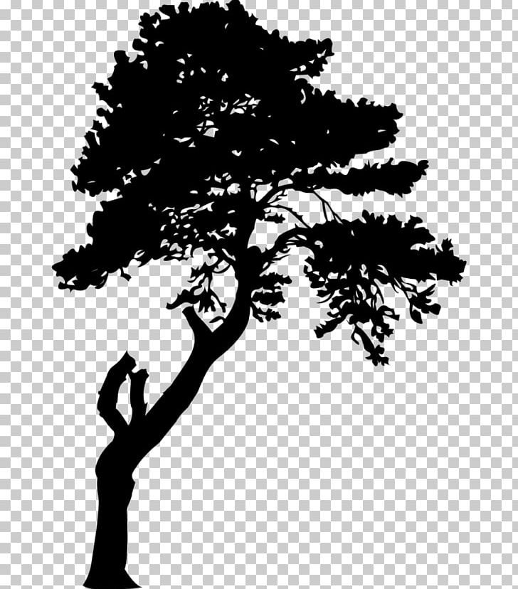 Adhesive Nambeelup PNG, Clipart, Adhesive, Animals, Black And White, Branch, Decal Free PNG Download