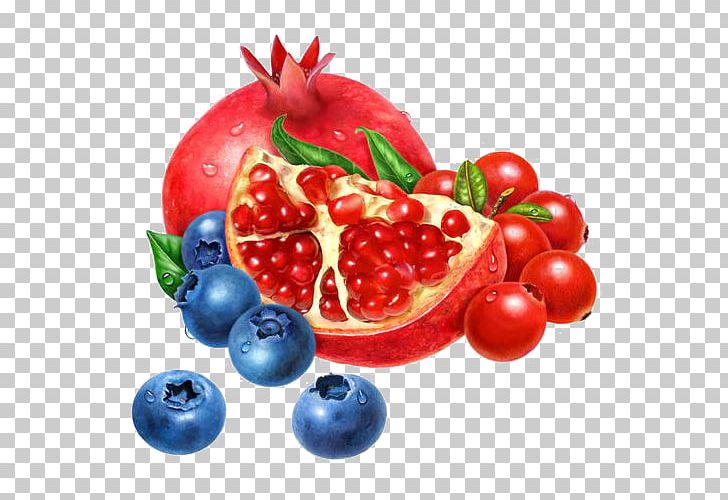 Cranberry Blueberry Lingonberry Auglis PNG, Clipart, Auglis, Berry, Blue, Blue, Blue Abstract Free PNG Download