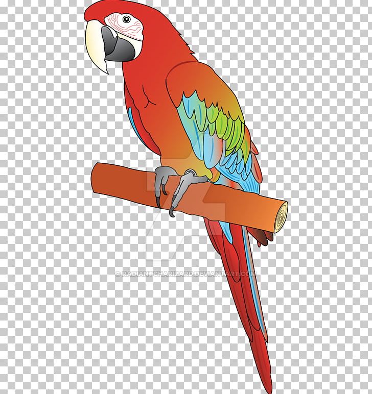 Macaw Parrot Beak PNG, Clipart, Art, Beak, Bird, Fauna, Feather Free PNG Download