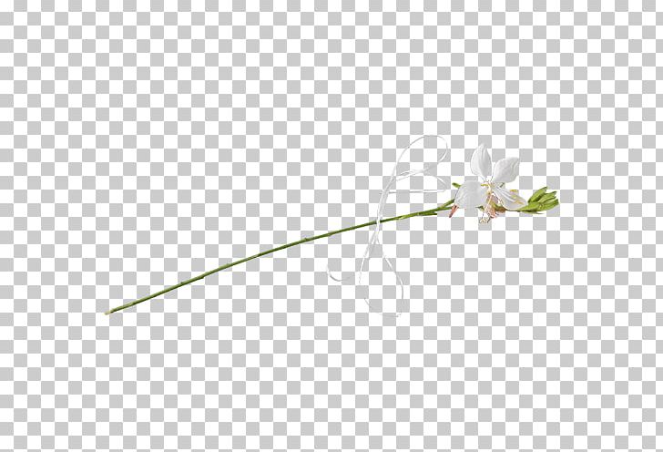 Petal Leaf Plant Stem Line Flowering Plant PNG, Clipart, Branch, Designe, Flora, Flower, Flowering Plant Free PNG Download