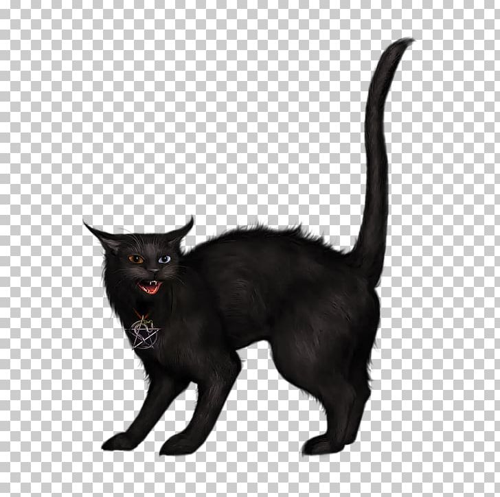 Black Cat PNG, Clipart, Animals, Black Cat, Bombay, Carnivoran, Cat Free PNG Download