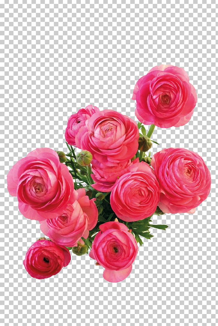 Flower Photography Android PNG, Clipart, Artificial Flower, Chinese, Chinese Border, Chinese Lantern, Chinese New Year Free PNG Download