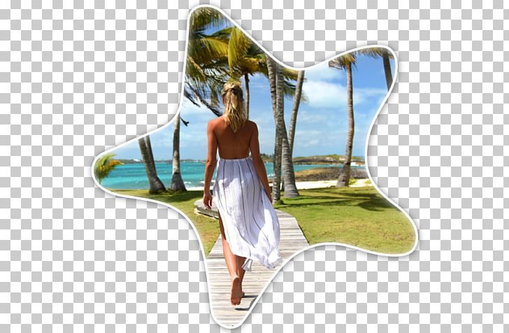 Gems At Paradise Private Beach Resort Hotel Cheap PNG, Clipart, Accommodation, Bahamas, Beach, Beach Resort, Boutique Hotel Free PNG Download