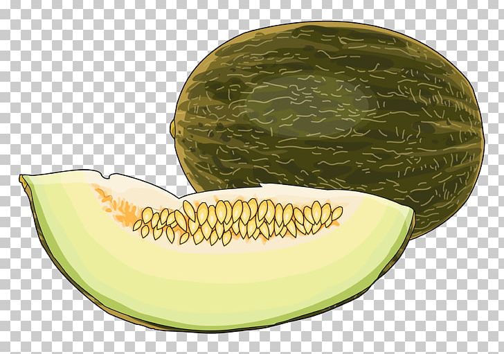 Honeydew Cantaloupe Watermelon Quince Cheese Technology PNG, Clipart, Area, Canal, Cantaloupe, Communicatiemiddel, Cucumber Gourd And Melon Family Free PNG Download