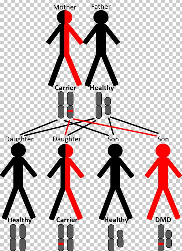 Line Human Behavior Point Angle PNG, Clipart, Angle, Area, Art, Artwork, Behavior Free PNG Download