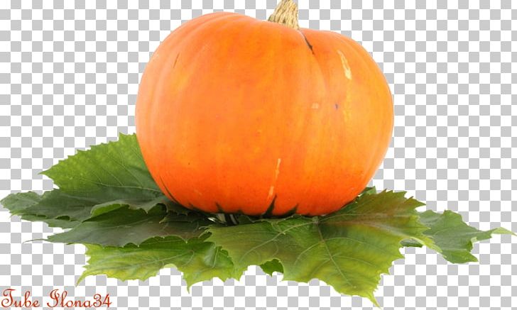 Candy Pumpkin Vegetarian Cuisine Cucurbita Gourd PNG, Clipart, Calabaza, Cucurbita, Diet Food, Eating, Food Free PNG Download