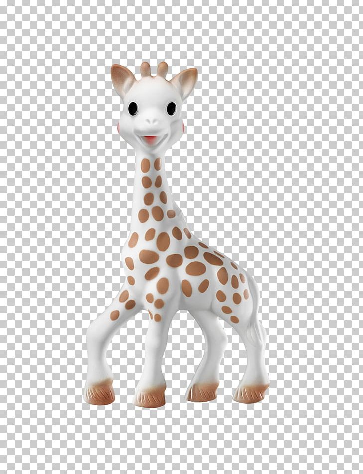 Sophie The Giraffe Teether Infant Toy Northern Giraffe PNG, Clipart, Animal Figure, Animals, Child, Childbirth, Figurine Free PNG Download