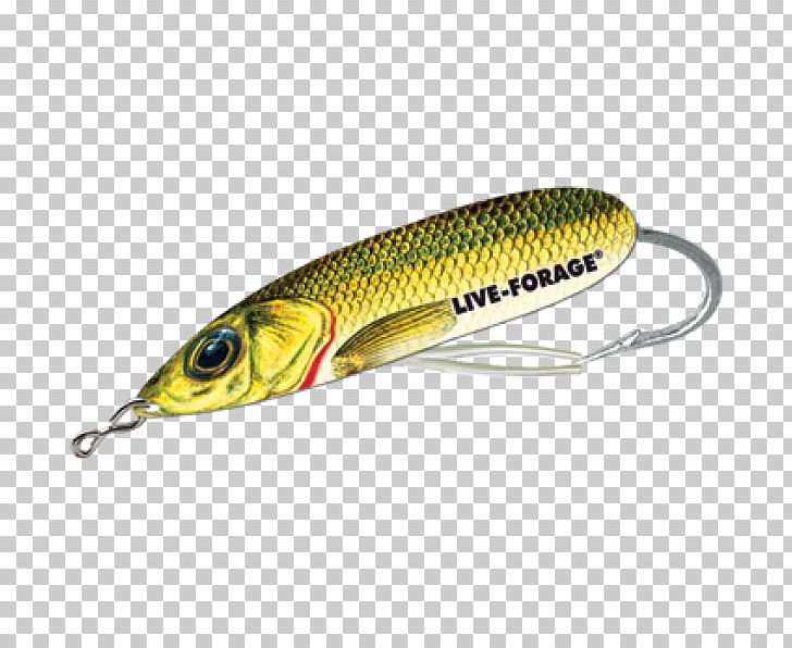 Spoon Lure Perch Fish AC Power Plugs And Sockets PNG, Clipart, Ac Power Plugs And Sockets, Bait, Balzer, Fish, Fishing Bait Free PNG Download