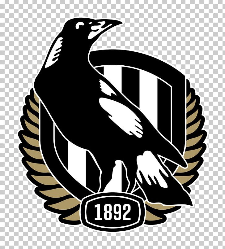 Collingwood Football Club Australian Football League Melbourne Cricket Ground Melbourne Football Club Northern Blues PNG, Clipart, App, Bird, Club, Collingwood Football Club, Collingwood Magpies Netball Free PNG Download