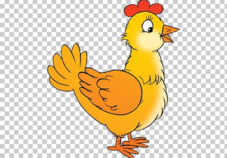 chicken animal cartoon