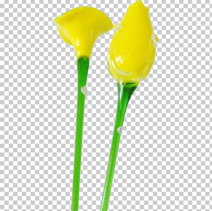 Cut Flowers Plant Stem Glass Arum-lily PNG, Clipart, Artificial Flower, Arumlily, Callalily, Calla Lily, Cut Flowers Free PNG Download