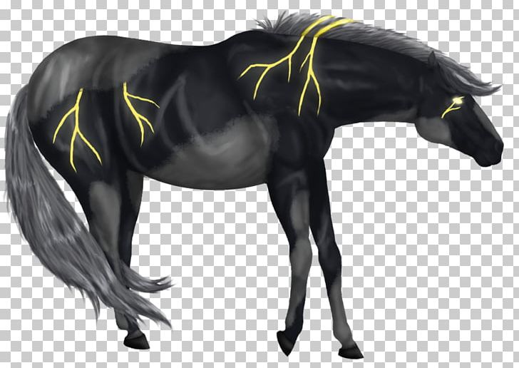 Mane Foal Stallion Mustang Mare PNG, Clipart, Colt, Fauna, Fictional Character, Foal, Halter Free PNG Download