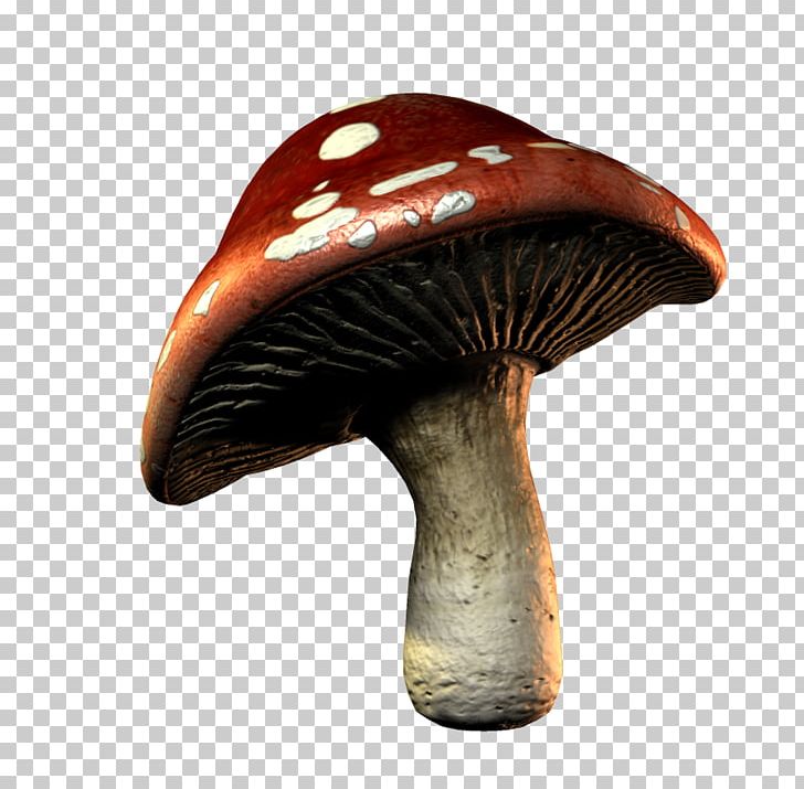 Mushroom PNG, Clipart, Abstract Pattern, Beautiful, Beautiful Mushrooms, Clip Art, Dots Per Inch Free PNG Download