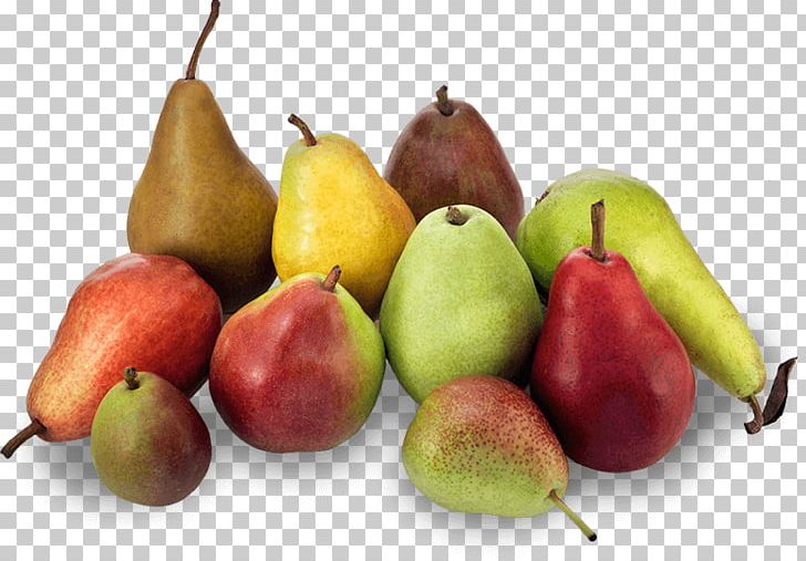 Williams Pear D'Anjou Crisp Variety Fruit PNG, Clipart,  Free PNG Download