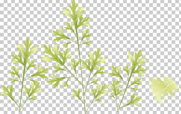 Leaf Photography Illustration PNG, Clipart, Background Vector, Branch, Creative Grass, Creative Green, Download Free PNG Download