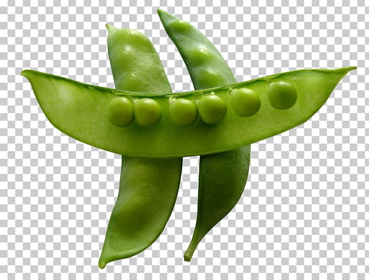 Pea Raster Graphics Computer File PNG, Clipart, Download, Food, Free, Fruit, Ingredient Free PNG Download