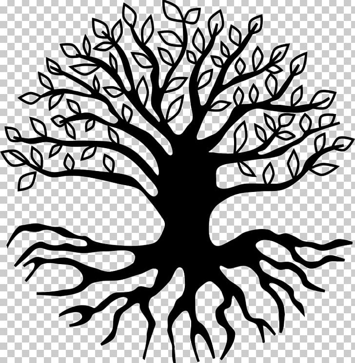Root Tree PNG, Clipart, Artwork, Black And White, Branch, Clip Art, Drawing Free PNG Download
