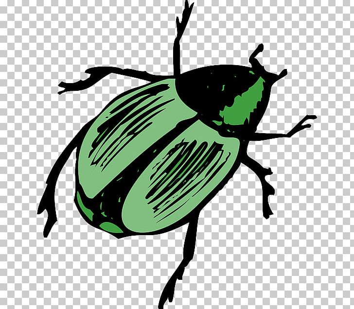 Striped Cucumber Beetle Computer Icons PNG, Clipart, Animals, Arthropod, Artwork, Beetle, Cetonia Aurata Free PNG Download