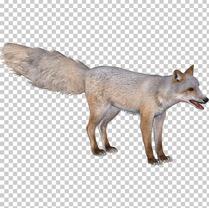 Zoo Tycoon 2 Red Fox Corsac Fox Blanford's Fox Gray Wolf PNG, Clipart, Animal, Animals, Austroraptor, Blanfords Fox, Canidae Free PNG Download
