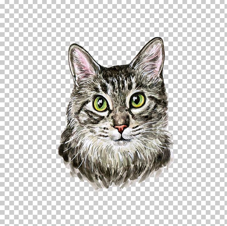 Cat Kitten Watercolor Painting Cuteness PNG, Clipart, American Wirehair, Animal, Animals, Asian, Carnivoran Free PNG Download