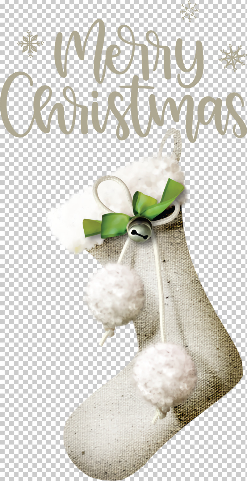 Merry Christmas Christmas Day Xmas PNG, Clipart, Biology, Christmas Day, Christmas Ornament, Christmas Ornament M, Merry Christmas Free PNG Download