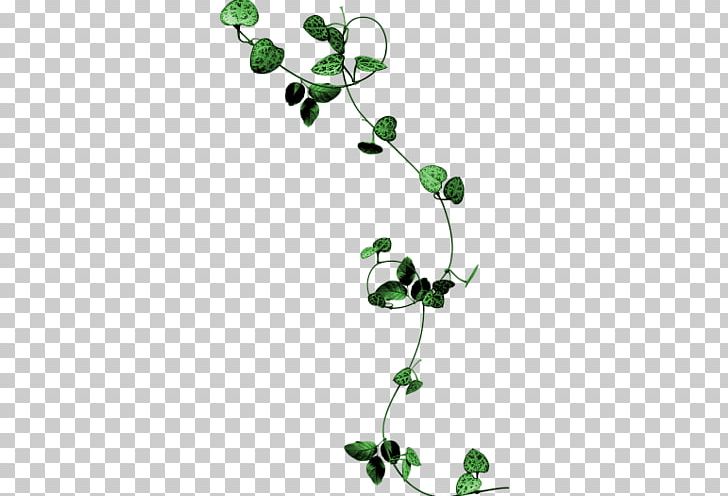 Green PNG, Clipart, Blue, Branch, Color, Deco, Download Free PNG Download