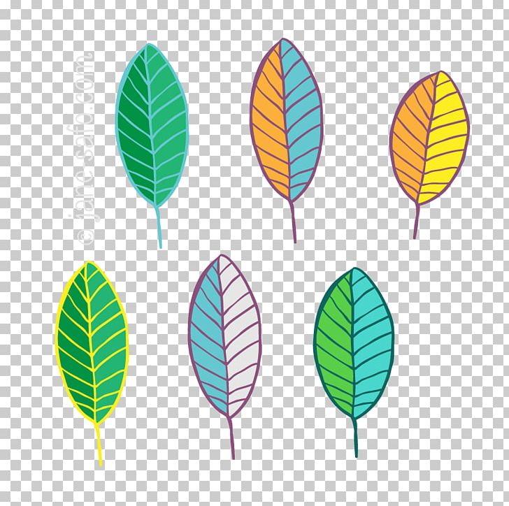Leaf Color PNG, Clipart, Color, Colour, Download, Flower, Green Free PNG Download