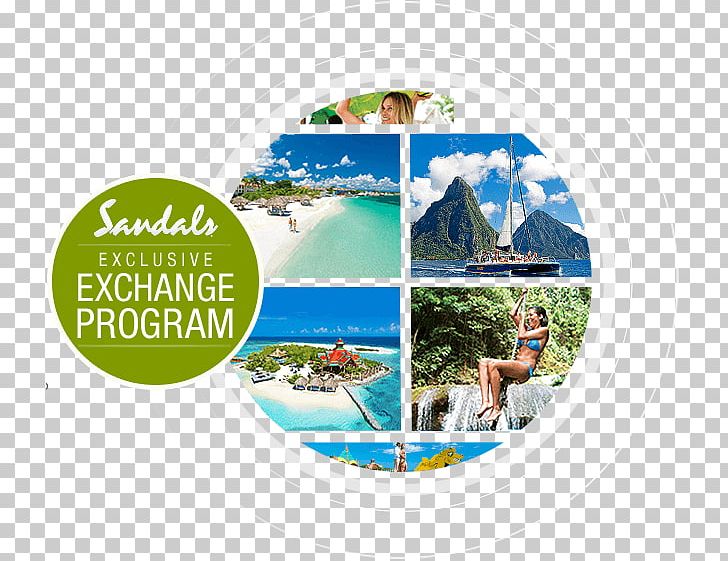 Leisure Sandals Resorts Vacation Water PNG, Clipart, Beach, Brand, Ecosystem, Leisure, Organism Free PNG Download