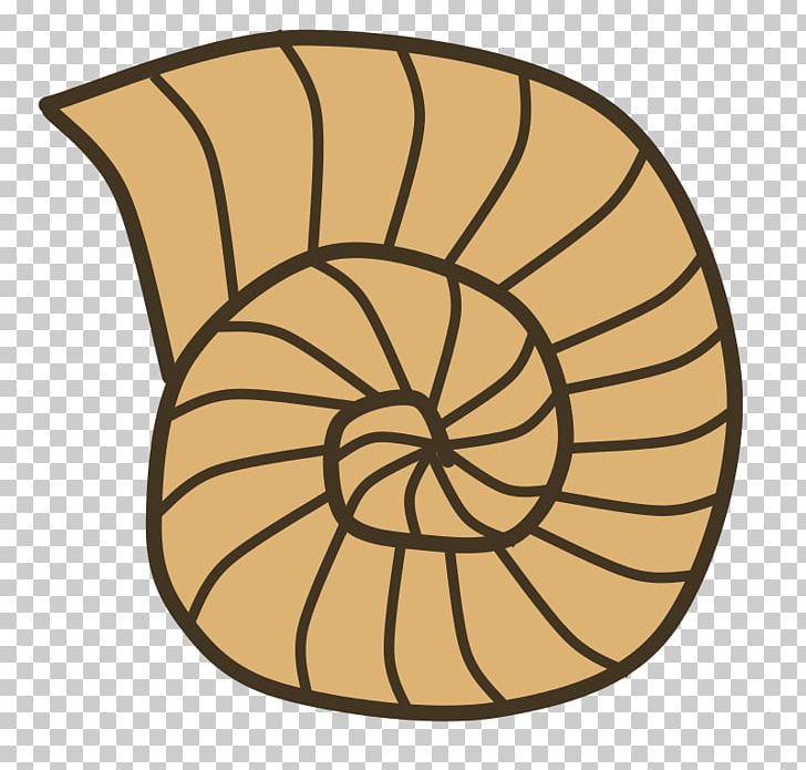 Seashell Snail Gastropod Shell PNG, Clipart, Ammonites, Area, Circle, Clip Art, Color Free PNG Download