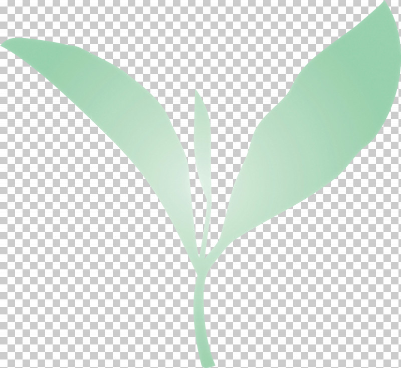 Tea Leaves Leaf Spring PNG, Clipart, Eucalyptus, Flower, Green, Leaf, Lily Of The Valley Free PNG Download