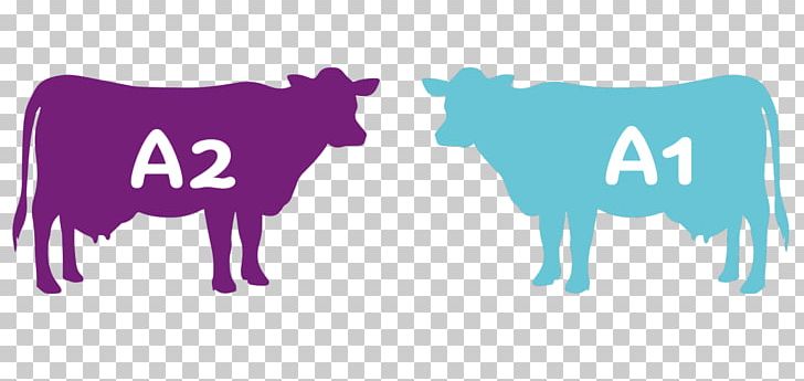 Beef Cattle Jersey Cattle Holstein Friesian Cattle Silhouette Decal PNG, Clipart, A2 Milk, Animals, Beef Cattle, Blue, Cattle Free PNG Download