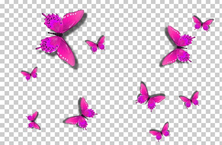 Butterfly Papilio Ulysses PNG, Clipart, Alamy, Butterflies And Moths, Butterfly, Flower, Insect Free PNG Download