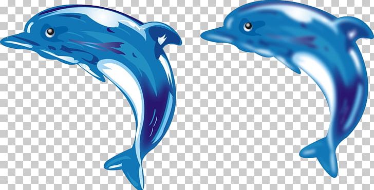 Common Bottlenose Dolphin Tucuxi Tattoo PNG, Clipart, Animal, Animals, Art, Beak, Blue Free PNG Download
