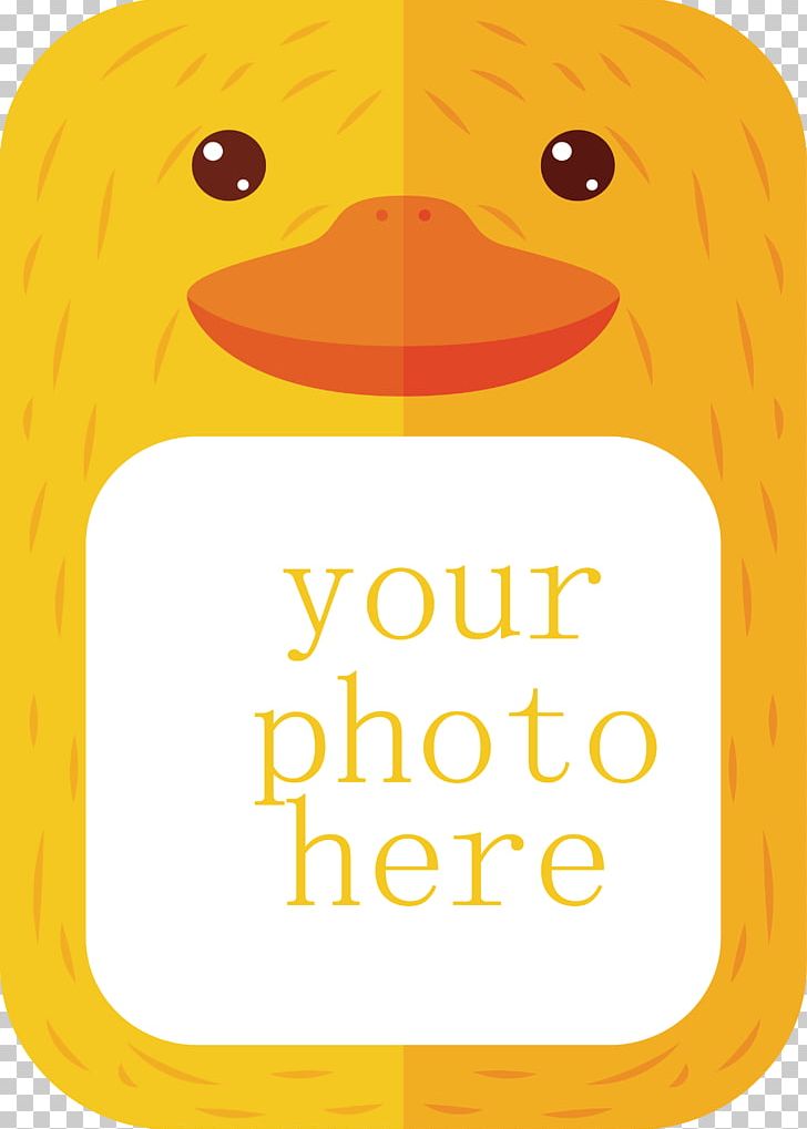 Duck PNG, Clipart, Album, Animal, Animals, Area, Beak Free PNG Download