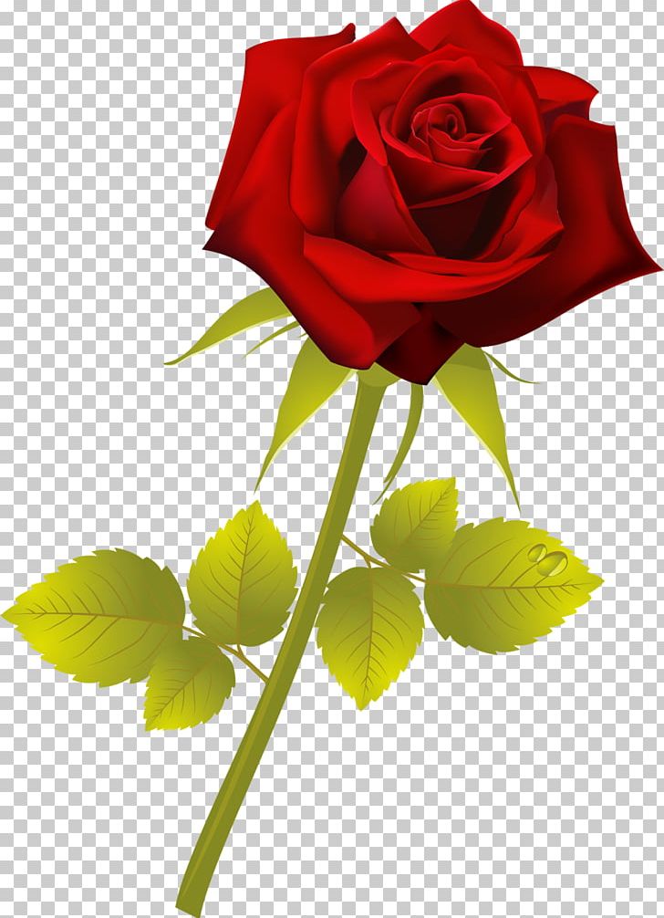 Flower Red Plant Garden Roses Painting PNG, Clipart, Beach Rose, Blue, Cut Flowers, Floral Design, Floristry Free PNG Download