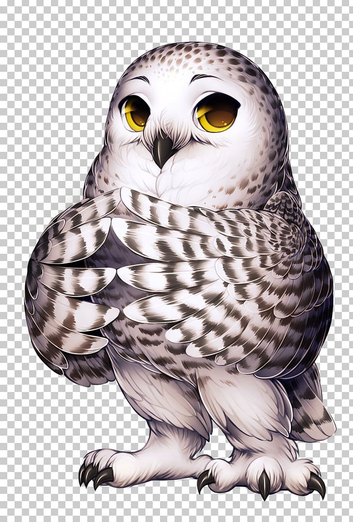 Great Grey Owl Snowy Owl Barn Owl Bird PNG, Clipart, Animals, Barn Owl, Barred Owl, Beak, Bird Free PNG Download
