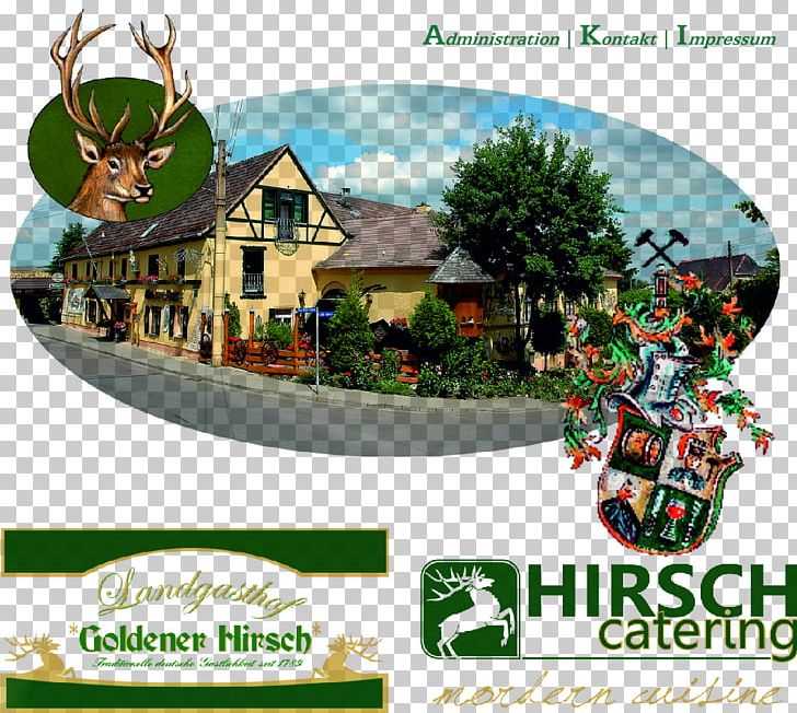 Hotel Goldener Hirsch Restaurant Goldener Hirsch Inn PNG, Clipart, Brand, Cheap, Christmas Ornament, Golden Logo, Holiday Free PNG Download