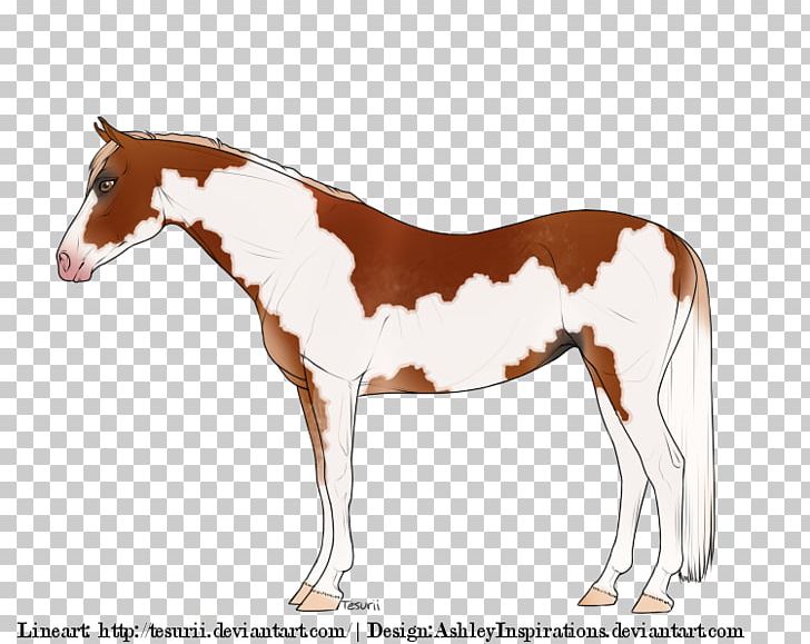 Mustang Foal Mare Stallion Rein PNG, Clipart,  Free PNG Download
